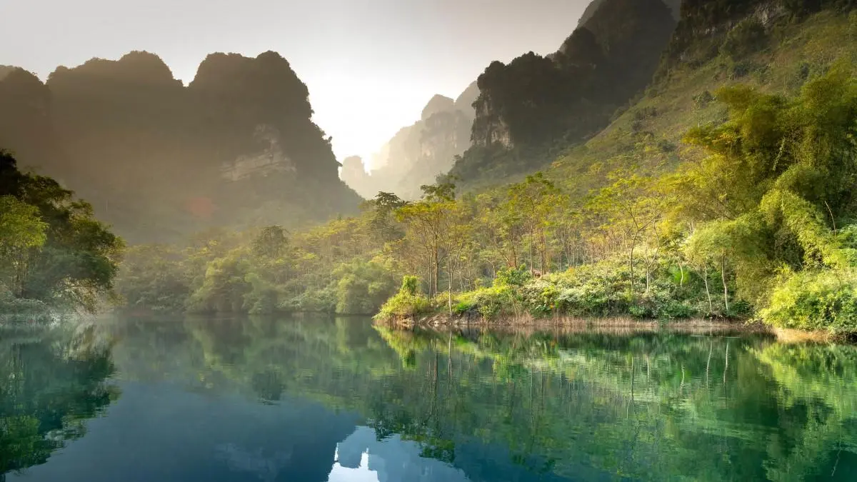 高性能独特先进